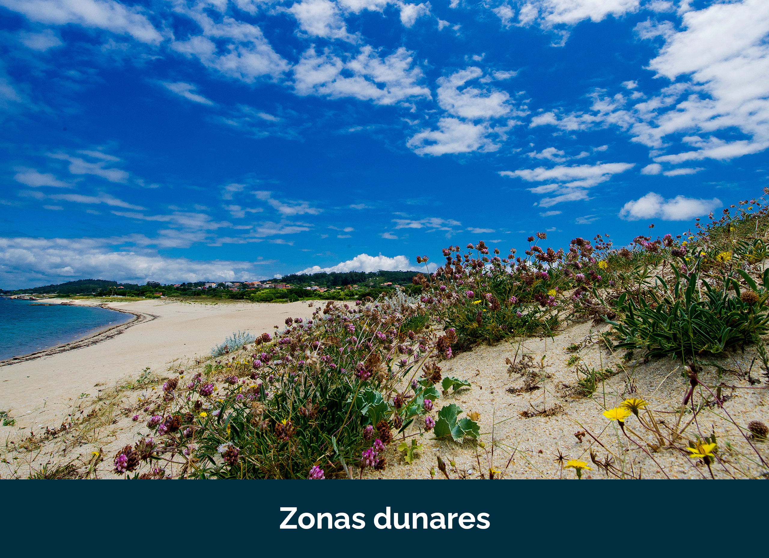 Zonas dunares
