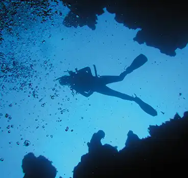 Mergulho