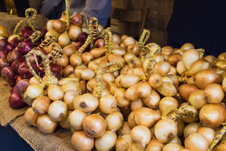 Cebollas