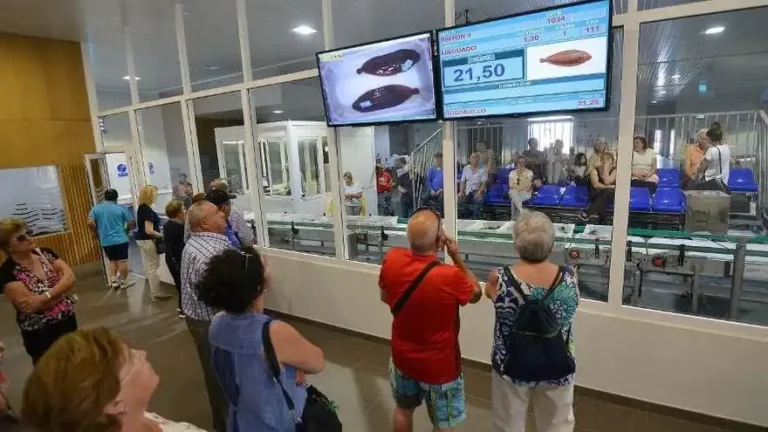 Portonovo fish market