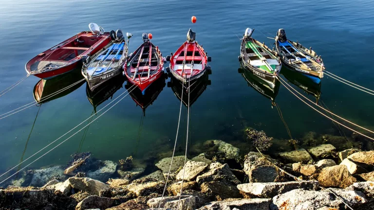 Barcas de pesca tradicionales amarradas en un puerto de O Grove