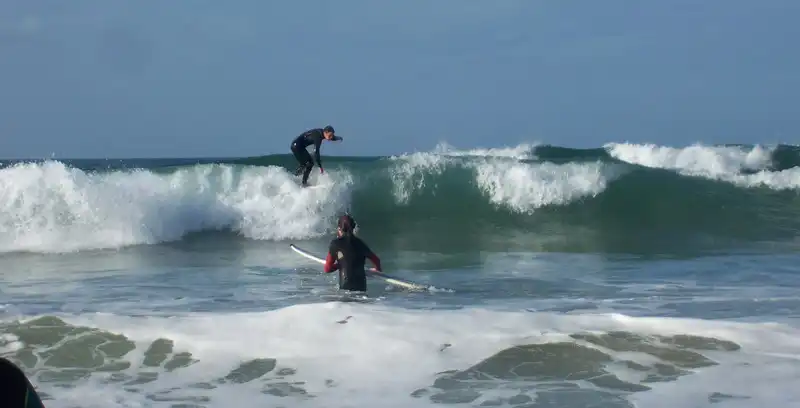 Surf