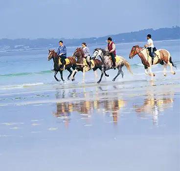 Clube de equitação Atalaya
