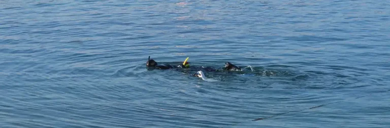 Personas practicando buceo en aguas tranquilas de España