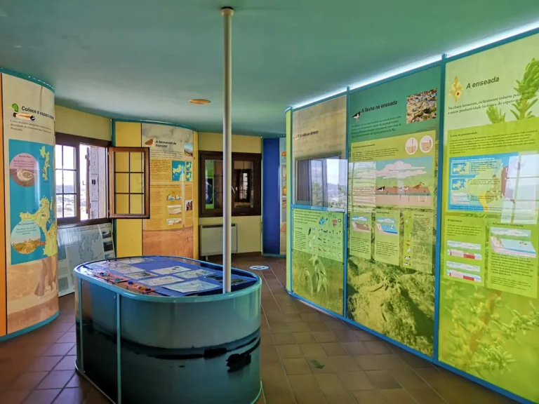 Interior del Aula da Natureza en O Grove con paneles informativos y material educativo sobre el entorno natural