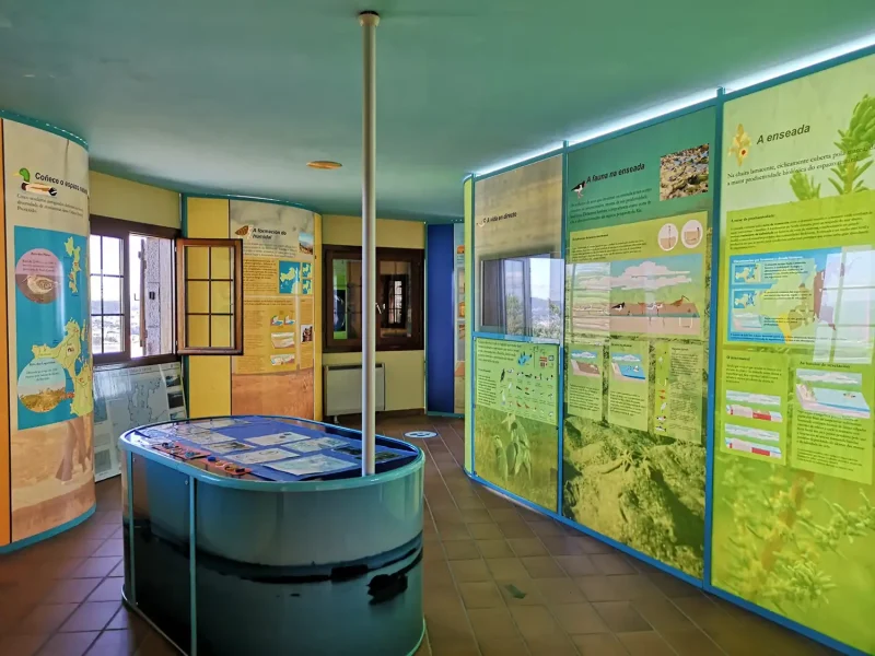 Interior del Aula da Natureza en O Grove con paneles informativos y material educativo sobre el entorno natural