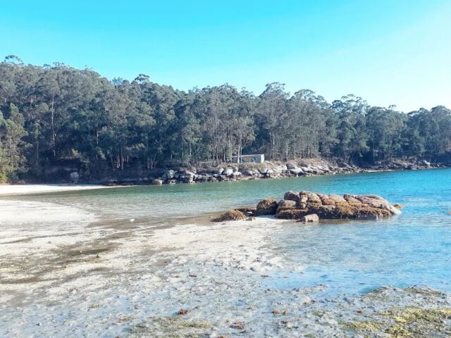 Galicia sabe amar 🌞🌼🌞🌼 #dameverano #paraisoscercanos #caribegallego #portomeloxo #marazul #fotografiando_el_mar_de #beachdays #ogrove #beachviews #turismogrove #osalnés #praialavaxeira #gw_turquoise #turismodegalicia #damegalicia #galaicocatalunya #aurisaworld #somosgalegos #recunchosgalegos #playasriasbaixas #ambientedeplaya #turismoriasbaixas #galiciaparaíso #galiciaterraunica #asi_es_galicia  #hellas_shots #galiciadesconocida #galiciaencanta #gw_galicia #galiciapostal