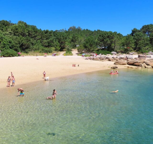 ⛱️ ¿Sabías que en #OGrove contamos con 3 playas en las que se admiten mascotas durante todo el año? 🐶 Louxiñas se ubica en la zona de Virxe das Mareas, muy próxima a Porto Meloxo, y O Espiño y O Portiño son dos #playascaninas contiguas en la zona de #SanVicentedoMar 🐕 

#turismogrove

⛱️ Sabías que no Grove contamos con 3 praias nas que se admiten mascotas durante todo o ano? 🐶 Louxiñas localízase na zona de Virxe das Mareas, moi próxima a Porto Meloxo, e O Espiño e O Portiño son dúas praias caninas contiguas na zona de #SanVicentedoMar 🐕